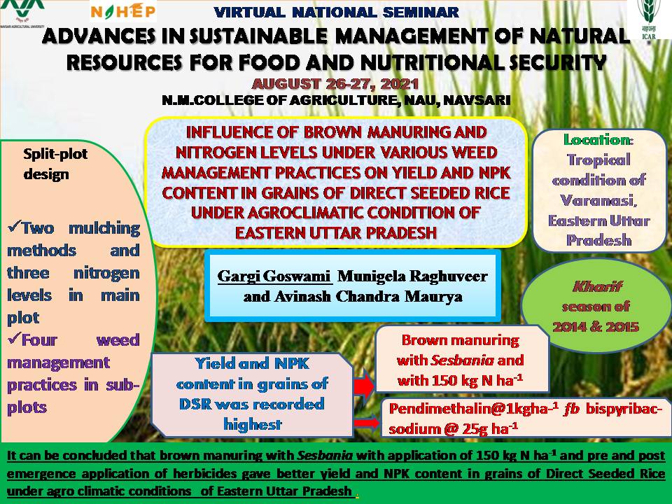 Influence of brown manuring and nitrogen levels under various weed management practices on yield and NPK content in grains of direct seeded rice under agro-climatic condition of Eastern Uttar Pradesh