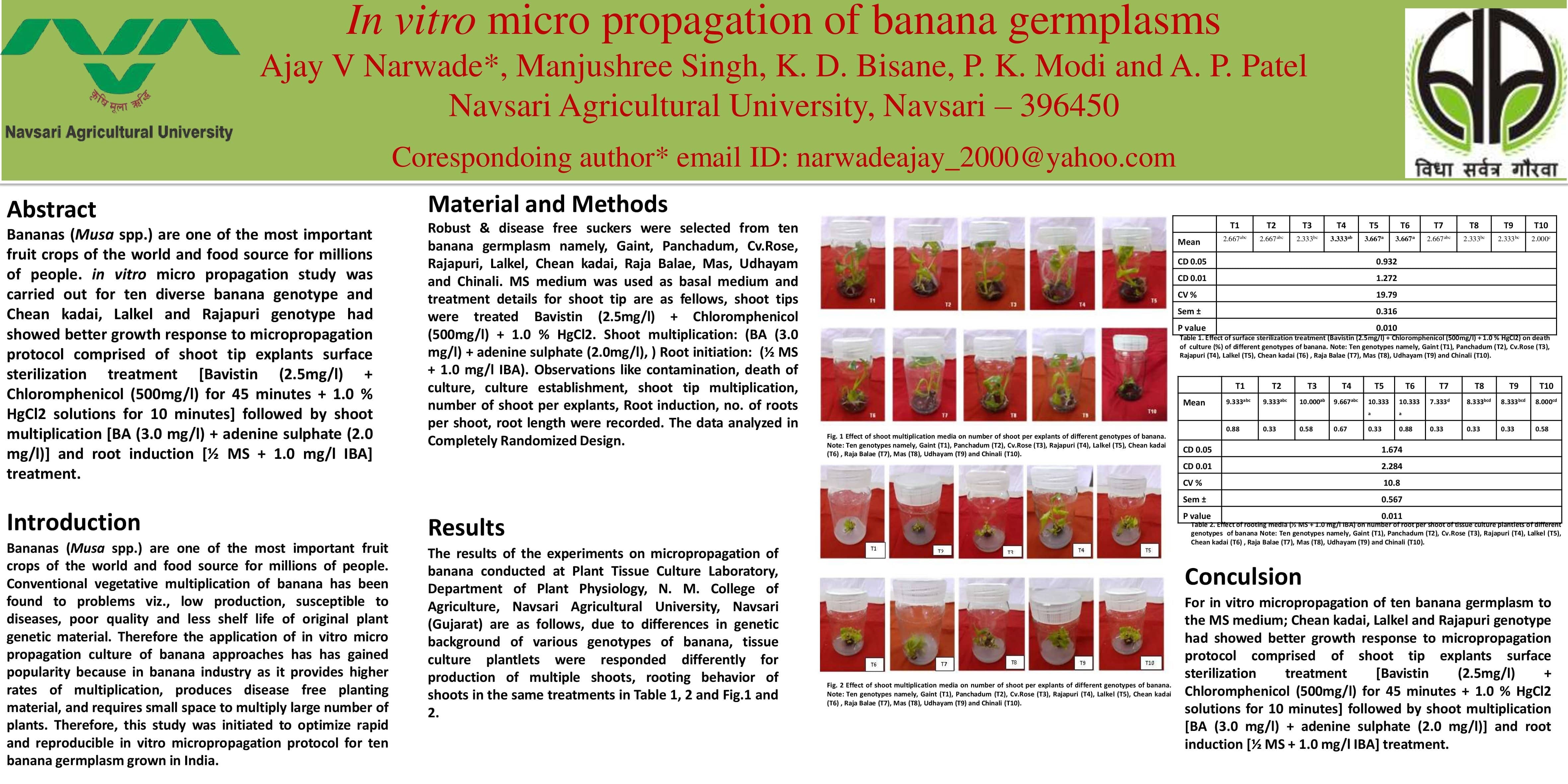 In vitro micro propagation of banana germplasms